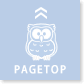 pagetop